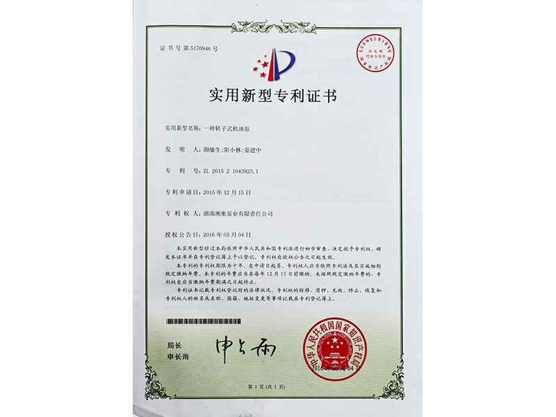 湖南网站名称专利